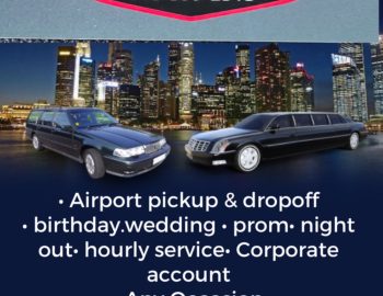 limousine and transportation service