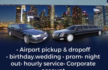 limousine and transportation service